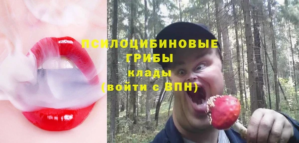 spice Алексин
