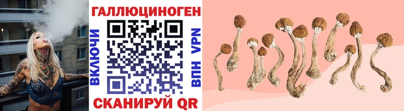 Псилоцибиновые грибы MAGIC MUSHROOMS  Малоархангельск 